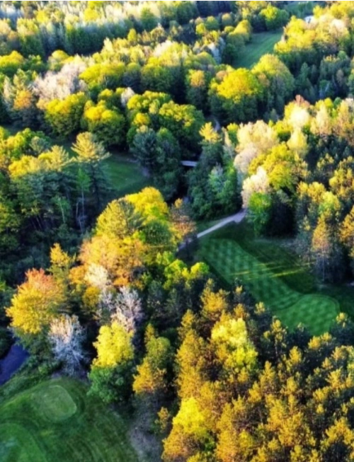 twin birch golf club kalkaska mi home golf course 3 (1)